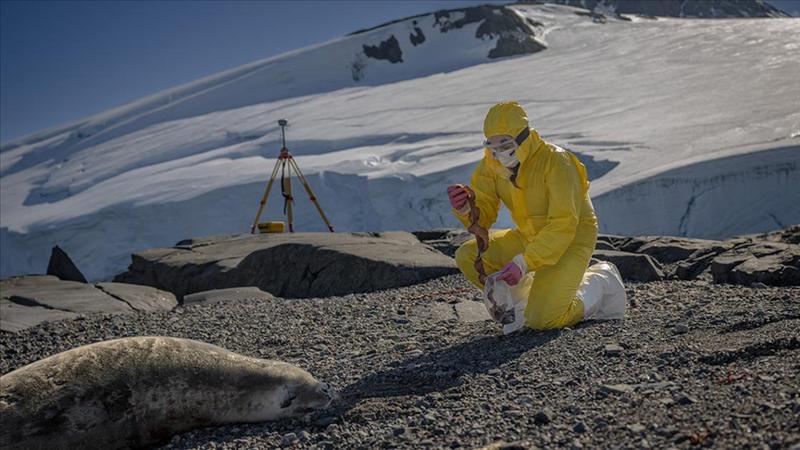 Türk bilim insanları Antarktika'daki araştırmalarıyla sağlık ve tarıma ışık tutuyor